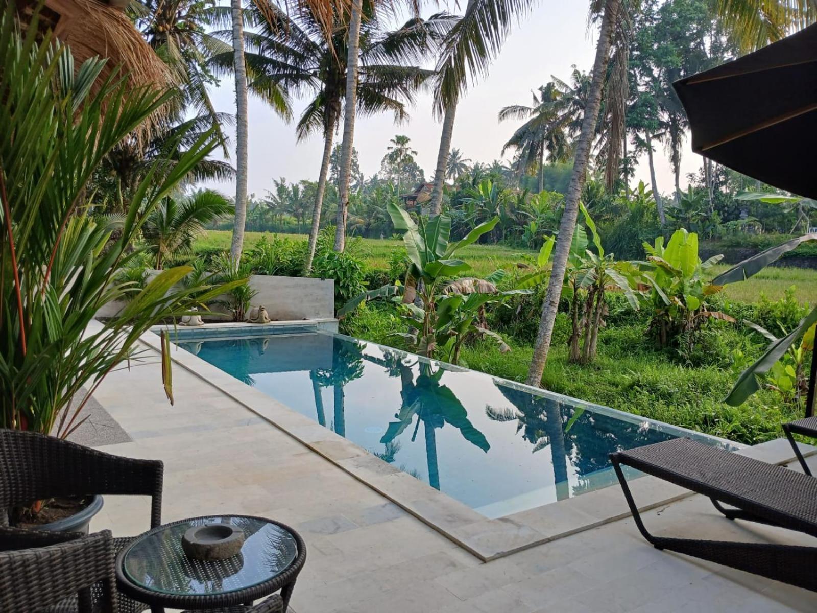 Bali View Ubud Hotel Exteriér fotografie